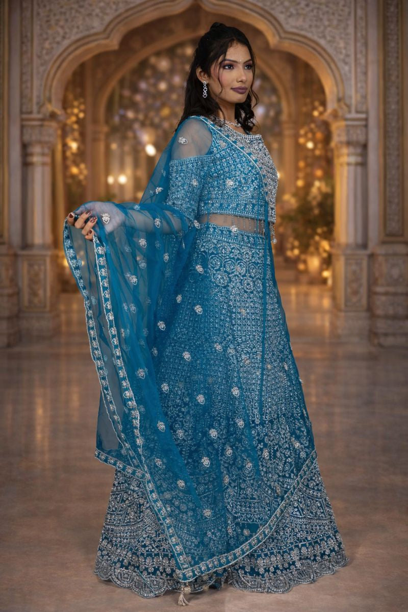 Rama Colour Net Crop Top with Diamond, Stones & Silver Thread Embroidery