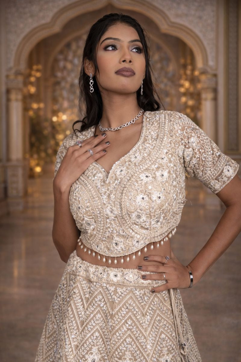 Golden Cream Net Crop Top Set with Mirror Work and Dupatta