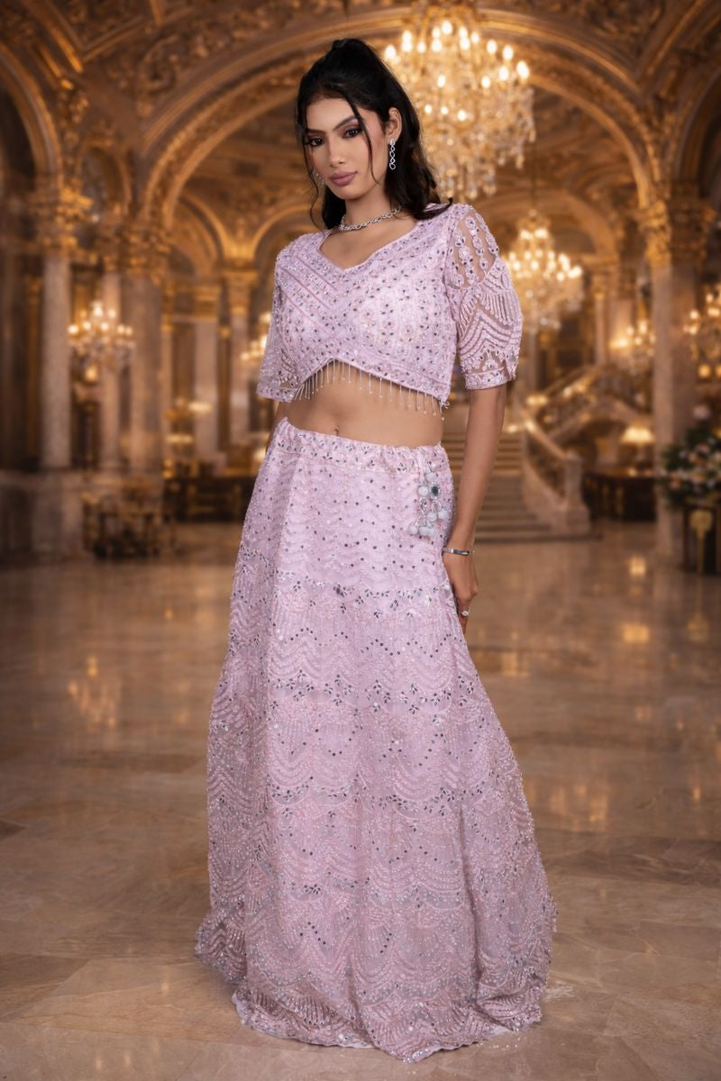 Pink Net Crop Top with Chikankari and Shisha Mirror Work Embroidery