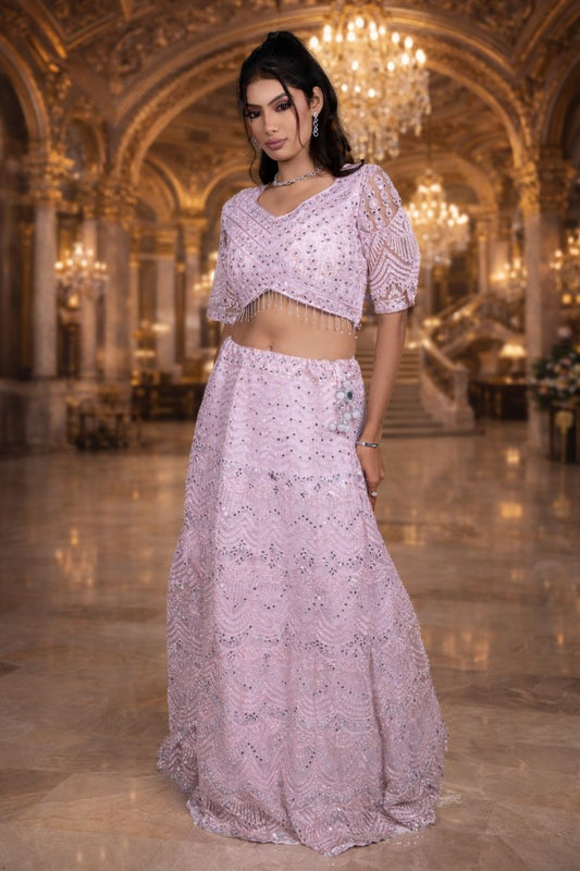 Pink Net Crop Top with Chikankari and Shisha Mirror Work Embroidery